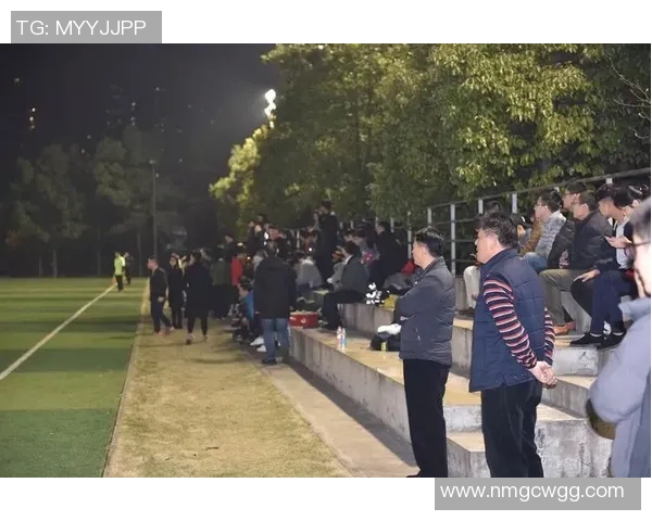 喀麦隆与巴西激战正酣足球盛宴引发全球关注与热议